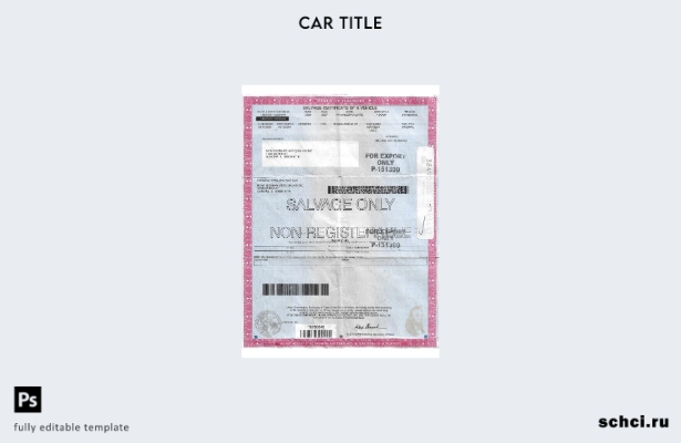 скачать цифровую загрузку шаблона свидетельства об утилизации автомобиля в США, 